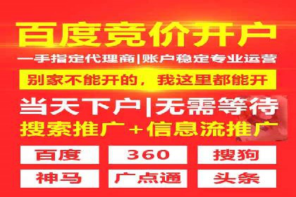 百度竞价广告投放策略：案例分析及效果评估